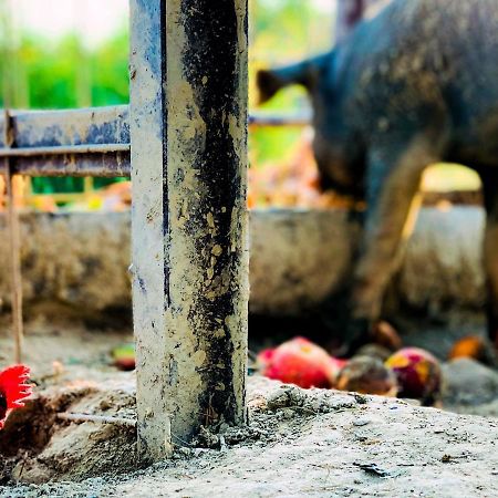 Relais Tenuta Gentili San Liberato Ngoại thất bức ảnh