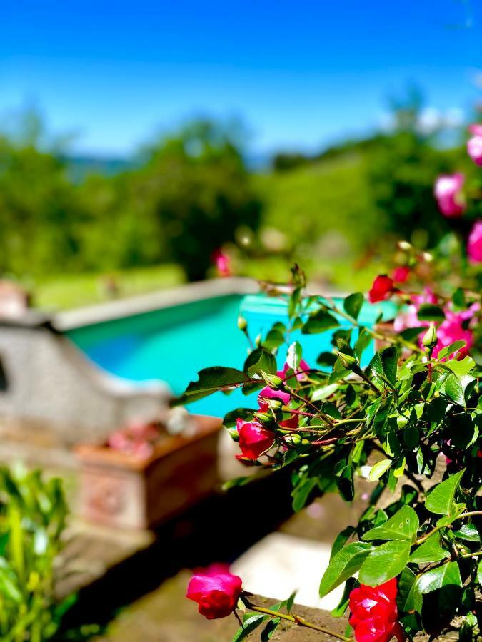 Relais Tenuta Gentili San Liberato Ngoại thất bức ảnh